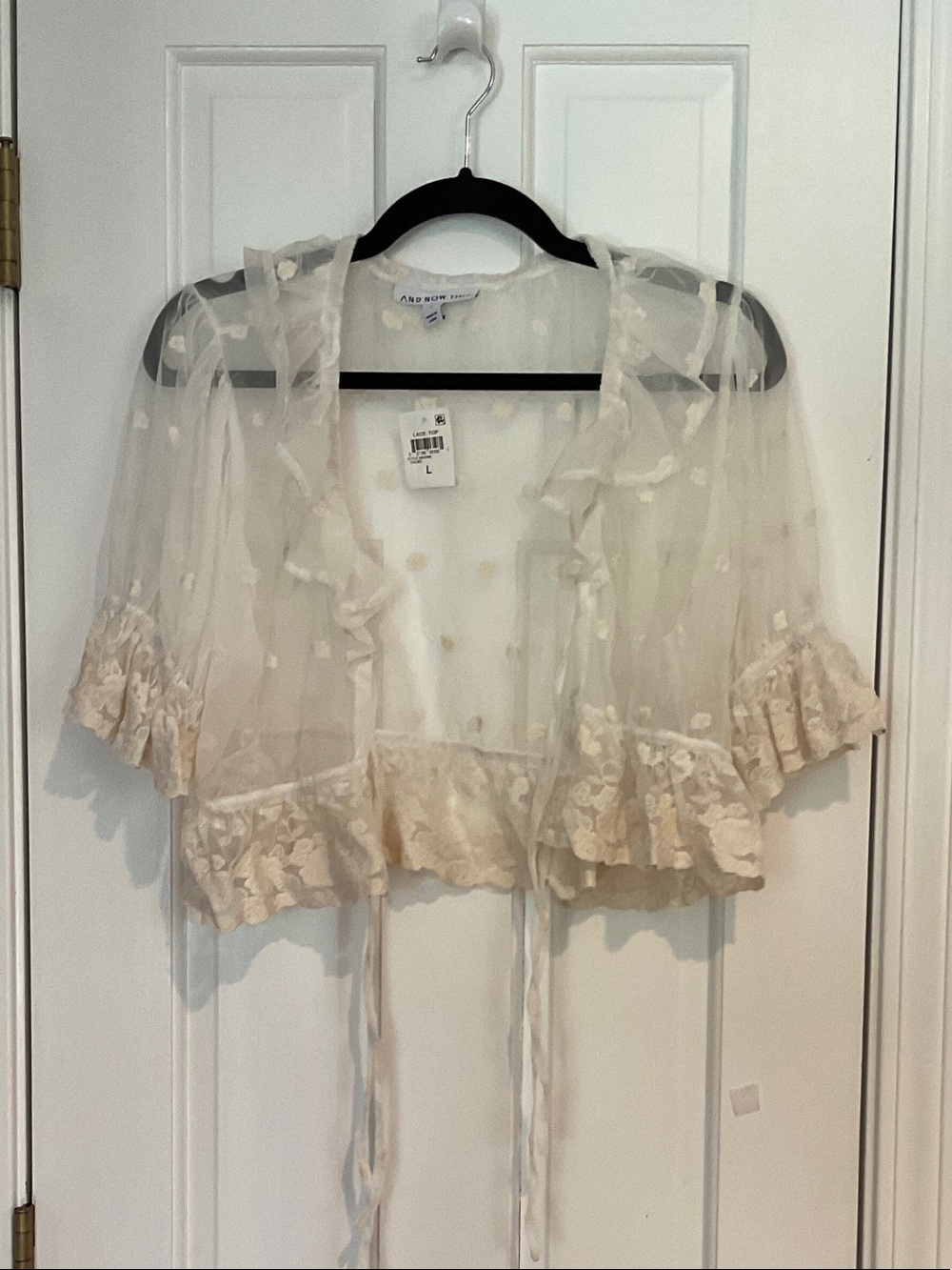 And Now Emma Cream Sheer Ruffle Tie-Front Top